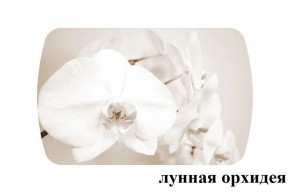 БОСТОН - 3 Стол раздвижной Лунная орхидея 1100/1420 опоры Триумф в Качканаре - kachkanar.mebel-74.com | фото