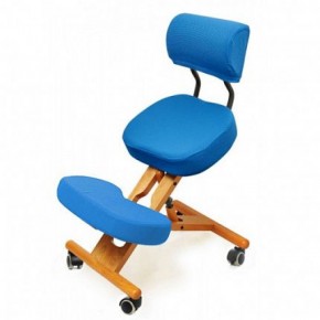 Коленный стул со спинкой Smartstool KW02В + Чехлы в Качканаре - kachkanar.mebel-74.com | фото