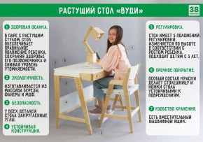 Комплект растущий стол и стул с чехлом 38 попугаев «Вуди» (Белый, Береза, Ромбы) в Качканаре - kachkanar.mebel-74.com | фото