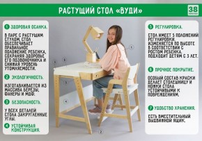 Комплект растущий стол и стул с чехлом 38 попугаев «Вуди» (Белый, Без покрытия, Ромбусы) в Качканаре - kachkanar.mebel-74.com | фото