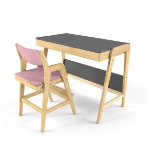 Комплект растущий стол и стул с чехлом 38 попугаев «Вуди» (Серый, Береза, Розовый) в Качканаре - kachkanar.mebel-74.com | фото