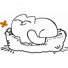 Кровать двухуровневая Кот № 900.1 ЛЕВАЯ (туя светлая/белый) в Качканаре - kachkanar.mebel-74.com | фото