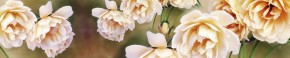 Кухонный фартук Цветы 066 МДФ матовый (3000) Flowers в Качканаре - kachkanar.mebel-74.com | фото