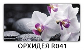 Обеденный раздвижной стол Бриз с фотопечатью Орхидея R041 в Качканаре - kachkanar.mebel-74.com | фото