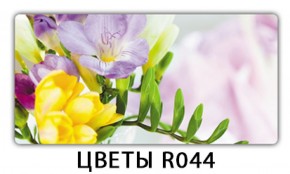 Обеденный раздвижной стол Бриз с фотопечатью Цветы R044 в Качканаре - kachkanar.mebel-74.com | фото