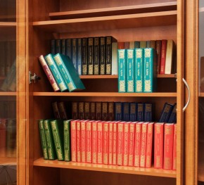 Шкаф для книг арт. 200 в Качканаре - kachkanar.mebel-74.com | фото