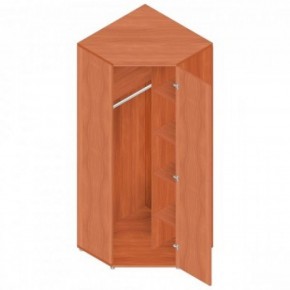 Шкаф для одежды "Референт" Р.Ш-10 в Качканаре - kachkanar.mebel-74.com | фото