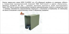 Шкаф-купе 1700 серии NEW CLASSIC K3+K3+B2+PL1 (2 ящика+1 штанга) профиль «Капучино» в Качканаре - kachkanar.mebel-74.com | фото