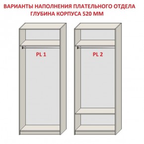 Шкаф распашной серия «ЗЕВС» (PL3/С1/PL2) в Качканаре - kachkanar.mebel-74.com | фото