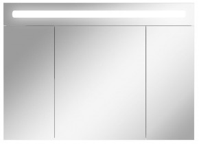 Шкаф-зеркало Аврора 100 с подсветкой LED Домино (DV8012HZ) в Качканаре - kachkanar.mebel-74.com | фото