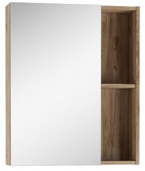 Шкаф-зеркало Craft 60 левый/правый Домино (DCr2203HZ) в Качканаре - kachkanar.mebel-74.com | фото