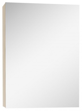 Шкаф-зеркало Мечта 40 Дуб сонома АЙСБЕРГ (DM2317HZ) в Качканаре - kachkanar.mebel-74.com | фото