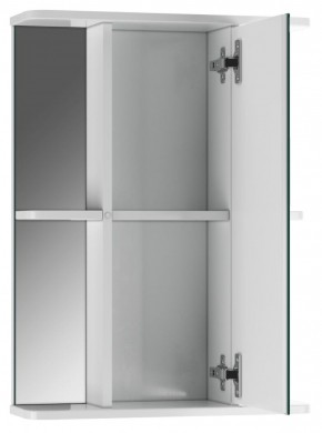 Шкаф-зеркало Норма 2-50 правый АЙСБЕРГ (DA1608HZ) в Качканаре - kachkanar.mebel-74.com | фото