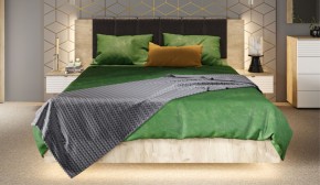 Спальня Джулия Кровать 160 МИ с подъемным механизмом Дуб крафт серый в Качканаре - kachkanar.mebel-74.com | фото
