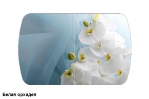 Стол Бостон 900*600 (опоры Брифинг) Стекло/фотопечать Белая Орхидея в Качканаре - kachkanar.mebel-74.com | фото
