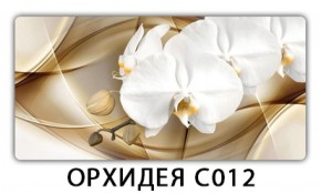 Стол раздвижной Трилогия с фотопечатью Орхидея C013 в Качканаре - kachkanar.mebel-74.com | фото