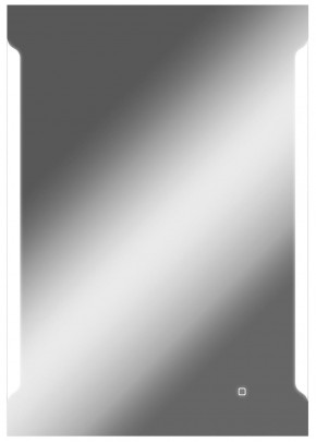 Зеркало Оттава 1000х700 с подсветкой Домино (GL7028Z) в Качканаре - kachkanar.mebel-74.com | фото